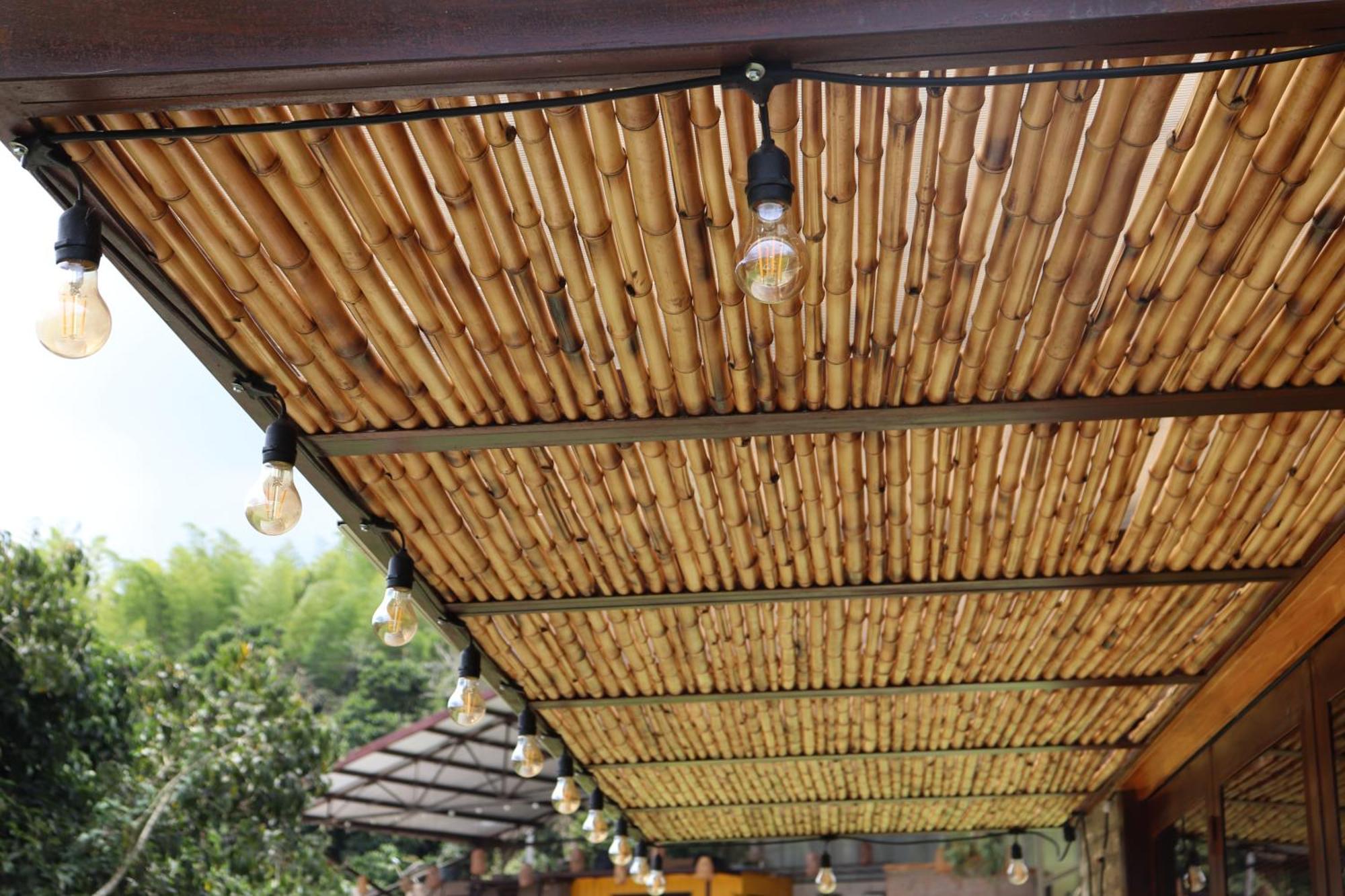 Adama Biohotel Calima Ngoại thất bức ảnh